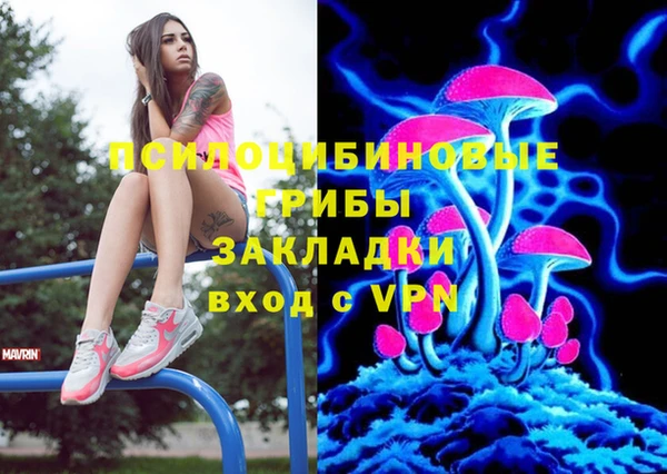 мет Арсеньев