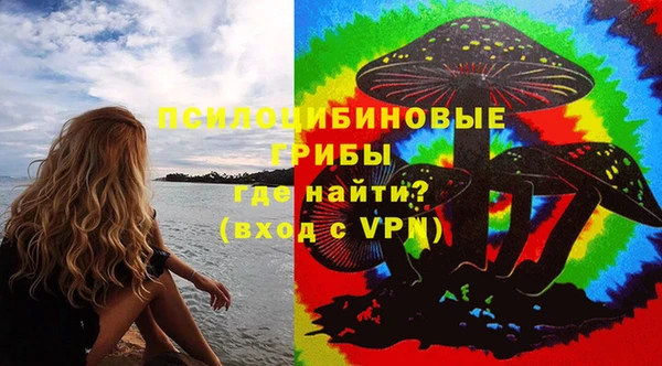 apvp Лиски